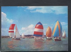 Sports Postcard - Sailing - R.O.R.C's Channel Race From Cowes To Dinard  RR6889