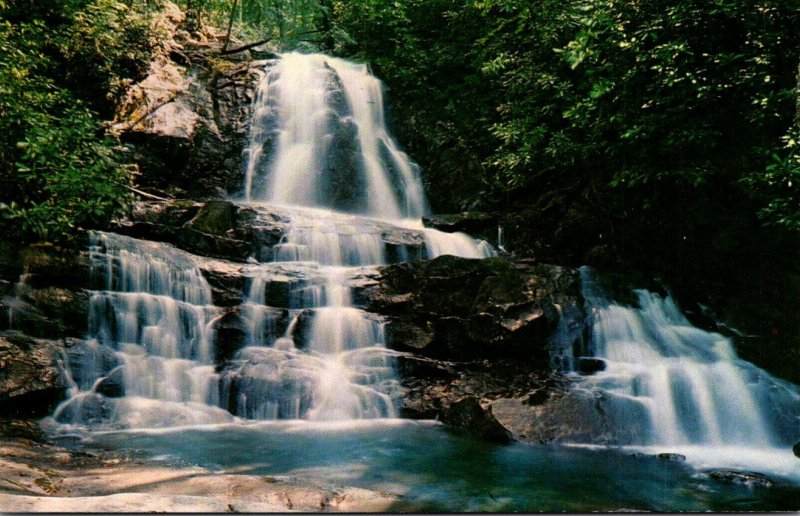 Tennessee Great Smoky Mountains National Park Laurel Falls