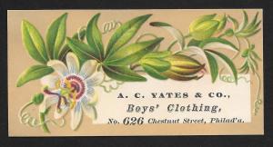 VICTORIAN TRADE CARD Yates & Co Boys' Clothing Flower & Leaves