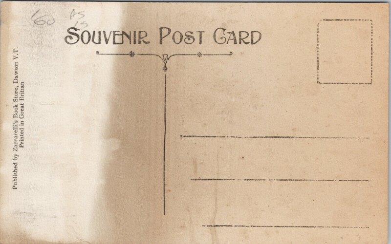 Bonanza Park and Mineral Springs Yukon YT #846 Zaccarelli's Postcard G48 *as is