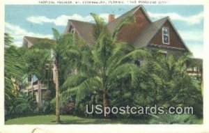 Tropical Foliage - St Petersburg, Florida FL  