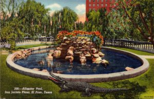 Texas El Paso San Jacinto Plaza Alligator Pool Curteich