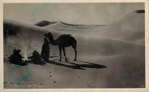 Egypt Port Said Camels 1949 02.14