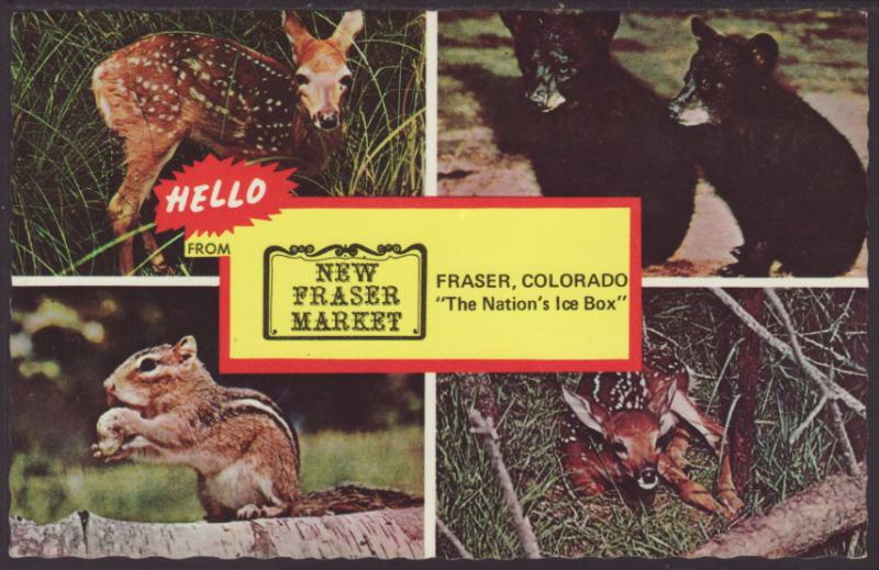 New Fraser Market,Fraser,CO Animals Postcard