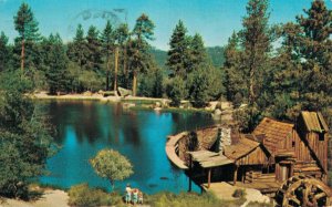 USA Cedar Lake California Vintage Postcard 07.75