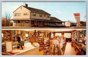 Yankee Trader Gift Shop, Belfast, Maine, Vintage Chrome Split View Postcard
