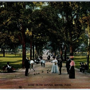 c1900s Boston, MA Scene on the Common Crowd Park Feed Bird PC Reichner Bros A211