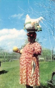 Market Vendor Jamaica Unused 