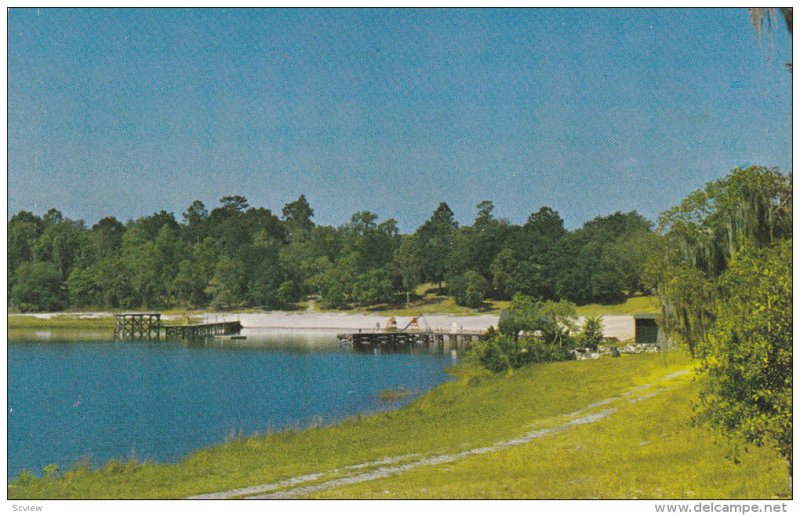 Beach on Lake Johnson, Gold Head Branch State Park, Keystone Heights