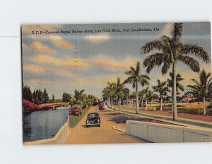 Postcard Famous Royal Palms Along Las Olas Blvd. Fort Lauderdale Florida USA