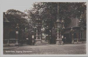 Netherlands Rotterdam Ingang Dierentuin Vintage RPPC C183