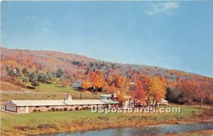 The Willowemoc Motel - Livingston Manor, New York