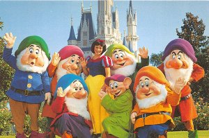 lot 5 usa florida walt disney world snow white and the seven dwarfs
