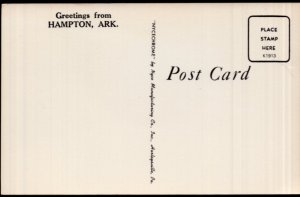 Arkansas Greetings from HAMPTON - Ring-Necked Pheasants Birds - Chrome