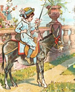 1880s Victorian Christmas Wishes Card Child In Blue Riding Donkey P133