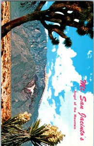 San Jacinto Angel Of The Mountain Indio California Postcard