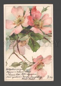 3090722 PINK Flowers on Tree by C. KLEIN Vintage 1904 year RPPC