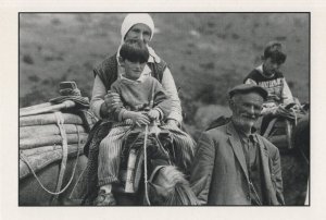 Kosovo Refugees Pony Ride Violence Real Photo Postcard