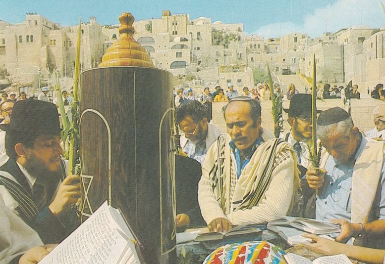 Hoshana Rabba Rabbi at Western Wailing Wall Jerusalem Postcard