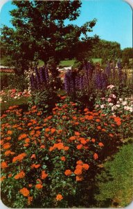 Jackson & Perkins Rose Garden Newark New York Scenic Flowers Chrome Postcard 