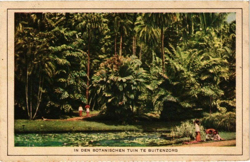 CPA AK Indonesia In den Botanischen Tuin te Buitenzorg (360377)