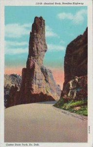 South Dakota Black Hills Sentinel Rock Needles Highway Custer State Park