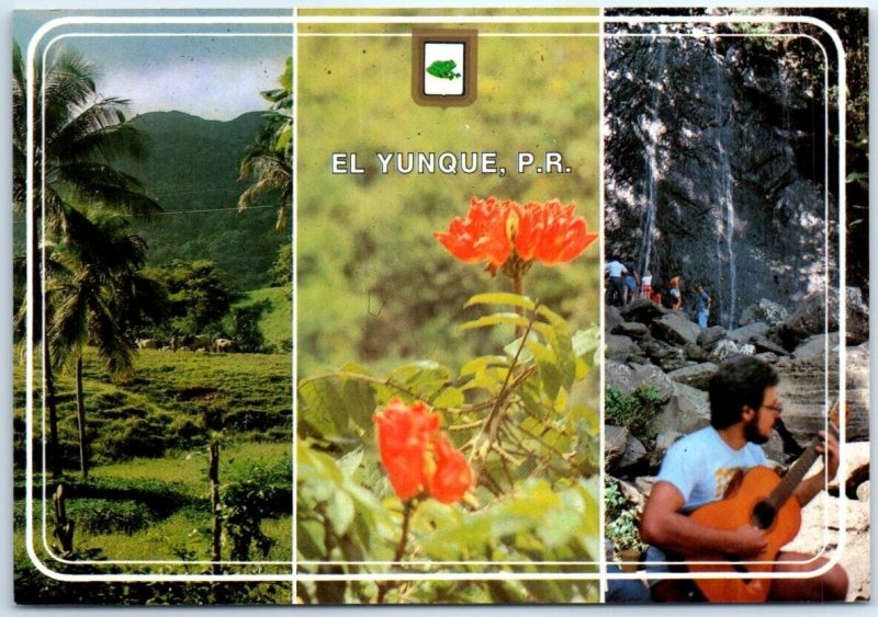 Postcard - El Yunque - Puerto Rico