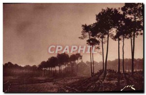 Old Postcard Arcachon Sweet morning d & # 39automne the Dunes in the Forest