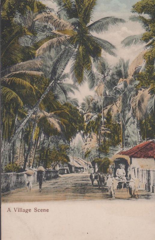 A Village Scene Antique Indian Postcard