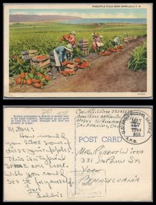 ABRO 1944 Hawaii Pineapple Harvest Card Posted San Francisco APO to York Pa.