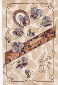 PFB Serie 8791 Good Luck With Horseshoe and Violets 1910