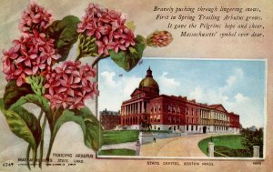 MA - State Flower & Capitol. Trailing Arbutus & Boston