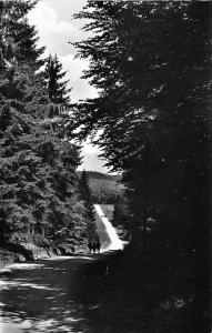 BG24024 egge wanderweg bei bad driburg   germany CPSM 14x9cm