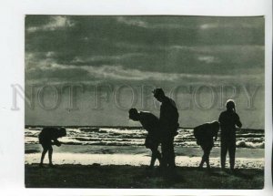 469727 USSR 1966 year Lithuania Palanga amber seekers postcard