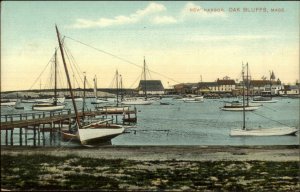 Oak Bluffs Martha's Vineyard MA New Harbor c1910 Unused Postcard