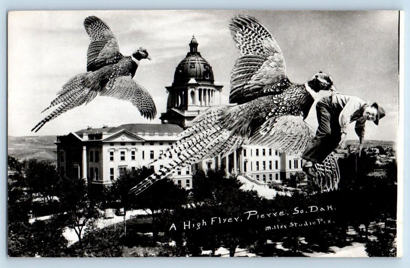 Pierre South Dakota SD Postcard RPPC Photo A High Flyer Exaggerated Pheasants