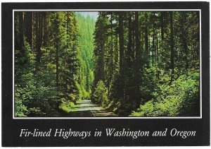 Pacific Northwest Fir-Lined Highways in Washington and Oregon 4 by 6