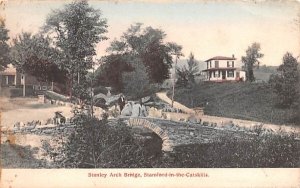 Stanley Arch Bridge in Stamford, New York