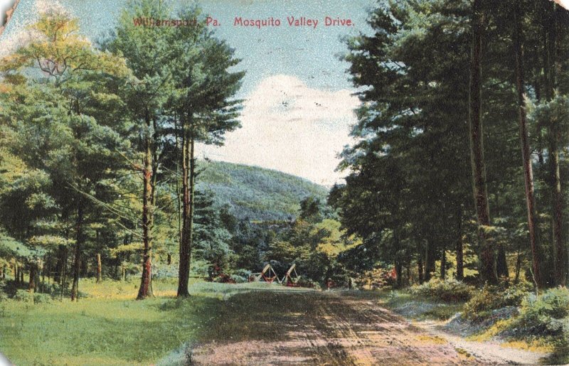 1910 Mosquito Valley Drive Williamsport Pa. Postcard 2R5-451 