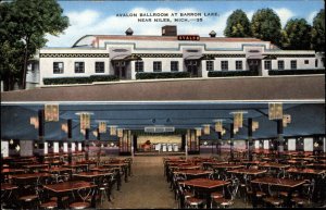 Niles Mich MI Avalon Ballroom Barron Lake Vintage Postcard