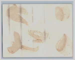 1870s-80s Victorian Trade Card Anthropomorphic Cat & Pug-Dog Couple #2 #7T