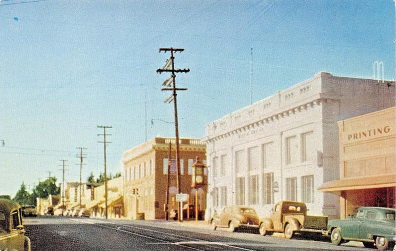 SEBASTAPOL CALIFORNIA~BUSINESS DISTRICT POSTCARD 1940-50s