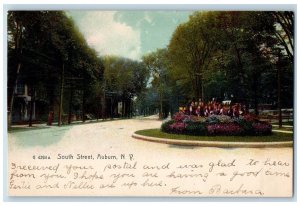 1906 South Street Auburn Trees And Flowers Auburn New York NY Posted Postcard