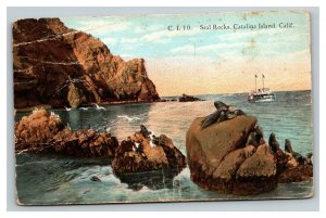 Vintage 1910's Postcard Seal Rocks Steam Ship Santa Catalina Island California