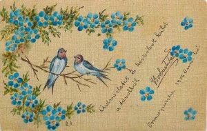 Hand drawn birds and flowers greetings postcard 1906