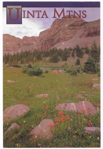 Uinta Mountains Utah Pristine 450,000 Wilderness Area 4 by 6