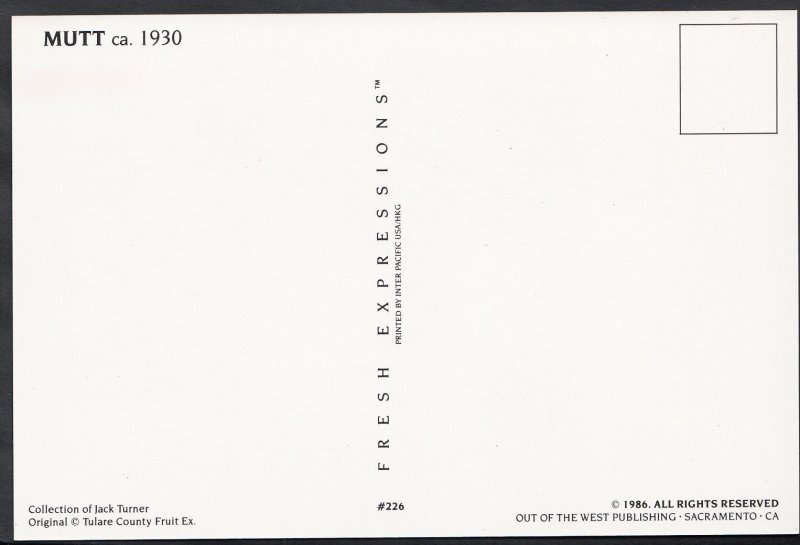 Advertising Postcard - Mutt Brand, California - Fruit - Oranges  Y350