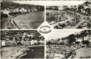 CPA LE LAVANDOU Scenes (1110791)