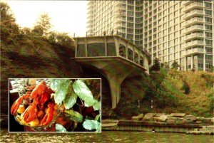 Lakewood, OH Ohio  PIER W RESTAURANT  Cleveland's Gold Coast  4X6 Postcard
