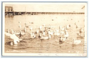 1935 Ducks On The Lake Stiff Provincetown MA Posted Vintage RPPC Photo Postcard 